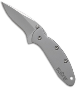 Kershaw Chive Assisted Opening Knife (1.94" Bead Blast) 1600