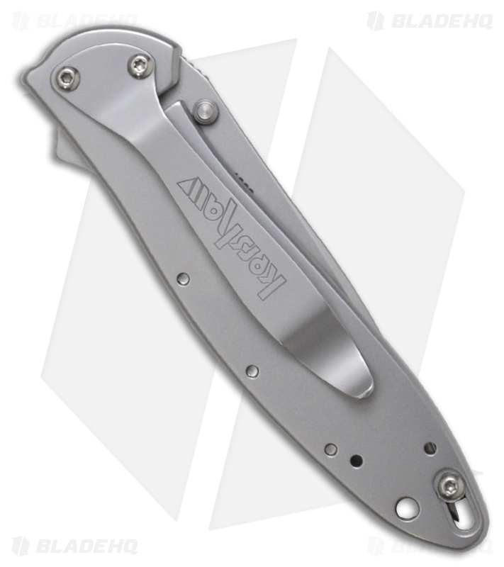Kershaw Leek Assisted Opening Knife Steel (3" Bead Blast Serr) 1660ST
