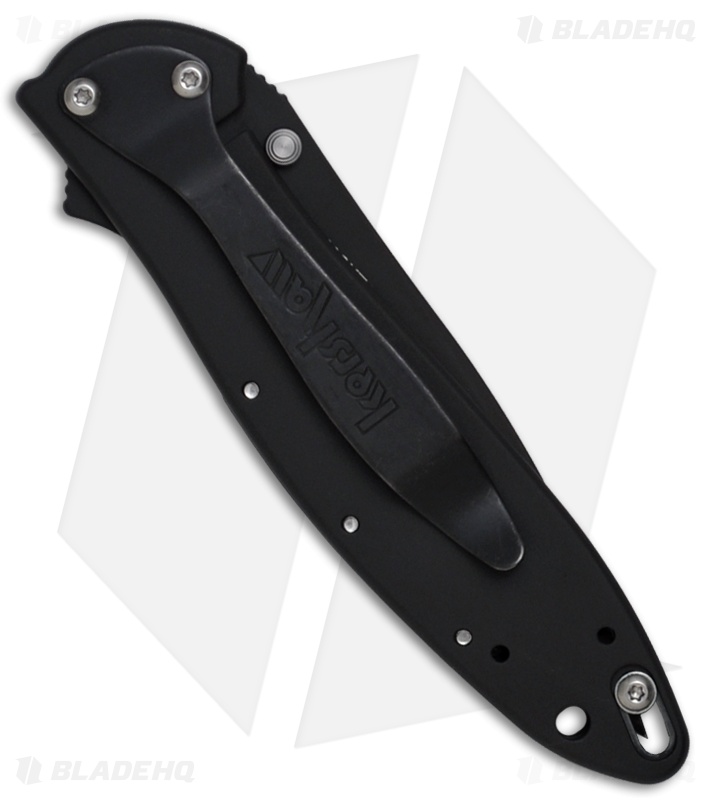 Kershaw Leek Assisted Opening Knife (3" Black Serr) 1660CKTST