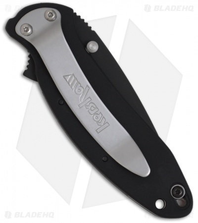 Kershaw Scallion Assisted Opening Knife Black (2.25" Black) 1620ALBLK