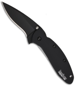 Kershaw Scallion Assisted Opening Knife Black (2.25" Black) 1620ALBLK